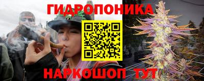 spice Камышлов