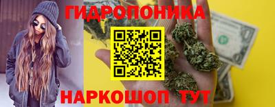 PSILOCYBIN Кандалакша