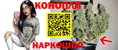 spice Камышлов
